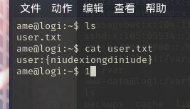 image-20251001004958830