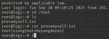 image-20251001085326614