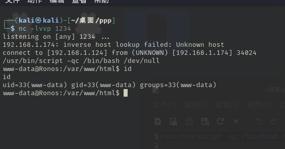 image-20251009163742779