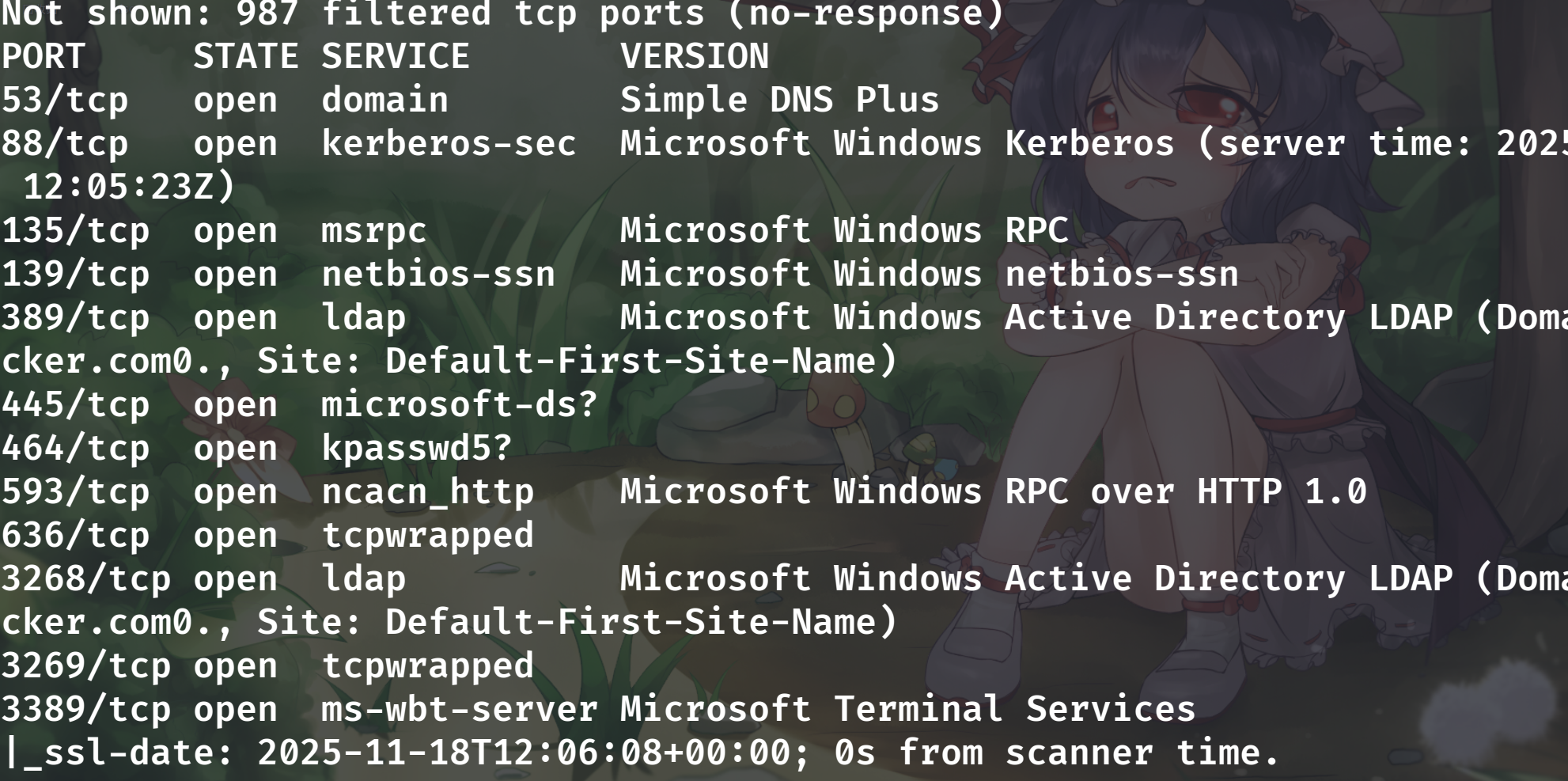 image-20251118200822370