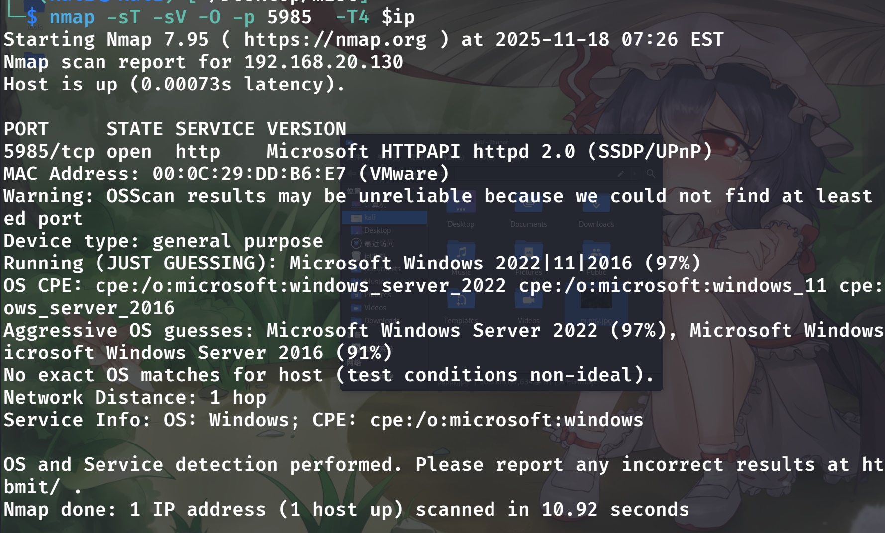 image-20251118202742223
