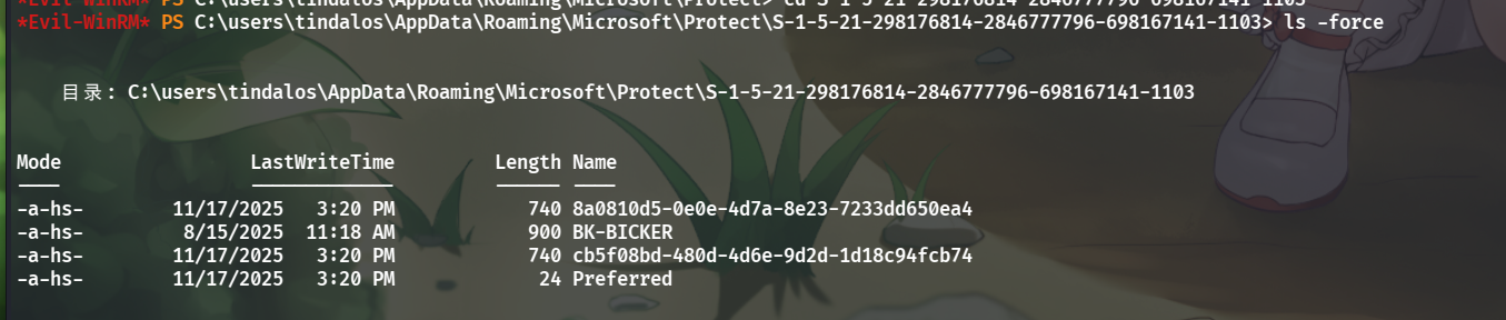 image-20251118211018542