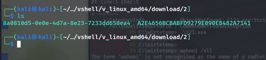 image-20251119212311774