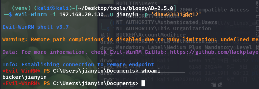 image-20251119214145096