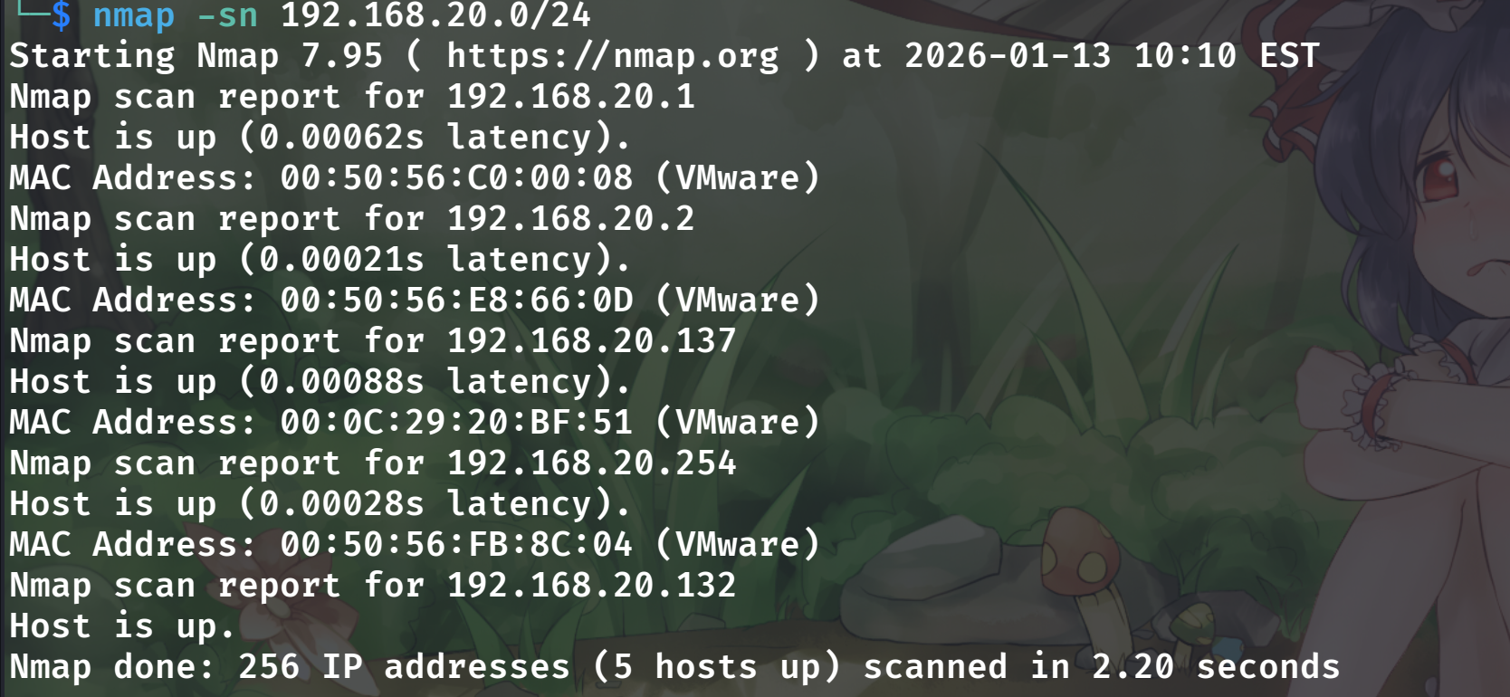 image-20260113231027876