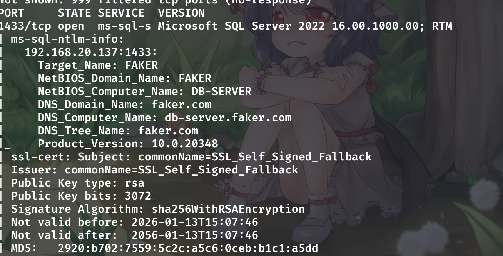 image-20260113231234349